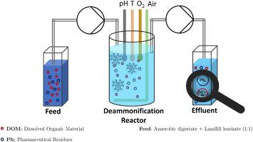 The fate of various organic compounds including pharmaceuticals in the treatment of landfill leachate and anaerobic digestate using deammonification