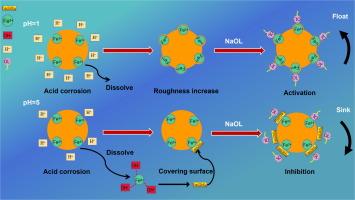 The influence of hydrochloric acid corrosion pretreatment on the flotation performance of hematite and its surface acid corrosion mechanism