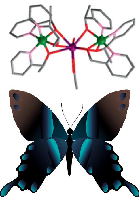 Chiral and magnetic butterflies