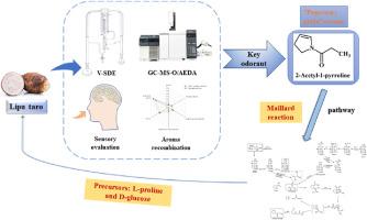 2- Acetyl-1-pyrroline originated from Maillard reaction is the key odorant of cooked Lipu taro