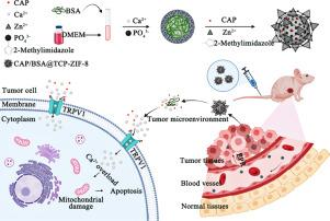 Application of capsaicin and calcium phosphate-loaded MOF system for tumor therapy involving calcium overload