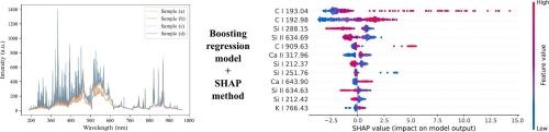 Enhancing elemental quantification in LIBS with SHAP-guided emission line analysis: A soil carbon study