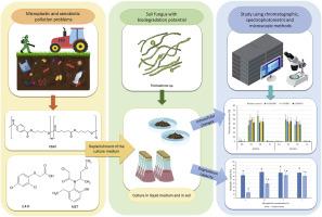 Degradation ability of Trichoderma spp. in the presence of poly(butylene adipate-co-terephthalate) microparticles