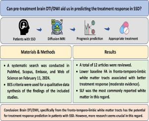 Diffusion magnetic resonance imaging for treatment response prediction in schizophrenia spectrum disorders: A systematic review