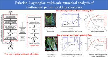 Eulerian–Lagrangian multiscale numerical analysis of multimodal partial shedding dynamics