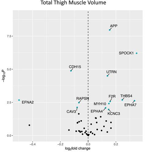 Higher expression of denervation-responsive genes is negatively associated with muscle volume and performance traits in the study of muscle, mobility, and aging (SOMMA)