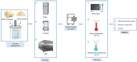 Cryoprotective role of vacuum infused inulin on the quality of artichoke: Interactive effects of freezing, thawing and storage period