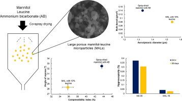 Optimizing large porous mannitol-leucine microparticles via spray drying technique