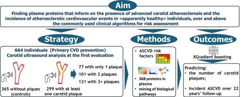 Plasma proteins associate with carotid plaques and predict incident atherosclerotic cardiovascular events