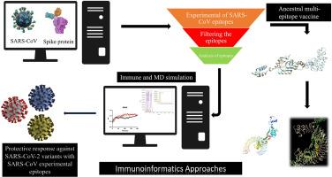 Development of an ancestral DC and TLR4-inducing multi-epitope peptide vaccine against the spike protein of SARS-CoV and SARS-CoV-2 using the advanced immunoinformatics approaches