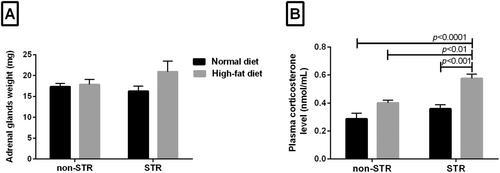 Metabolic Responses to High-Fat Feeding and Chronic Psychological Stress Combination