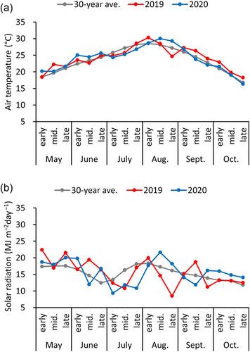 Grain yield and quality responses to nitrogen application rate and timing in dry direct broadcast seeded rice under different weather conditions