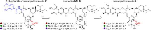 Ivermectin and its synthetic derivatives – A new class of anticancer agents