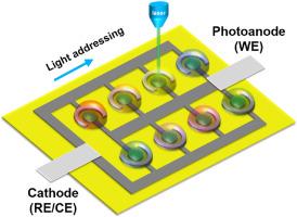 Scalable drop-casting construction of light-addressable photoelectrochemical biosensor on laser-induced graphene electrode arrays for high-throughput drug screening