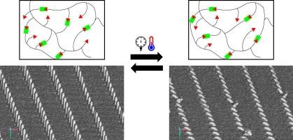 Reshapable bio-based thiol-ene vitrimers for nanoimprint lithography: Advanced covalent adaptability for tunable surface properties