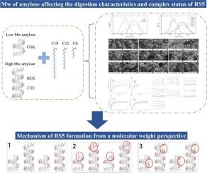 Amylose molecular weight affects the complexing state and digestibility of the resulting starch–lipid complexes