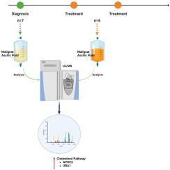 Ovarian cancer ascites proteomic profile reflects metabolic changes during disease progression