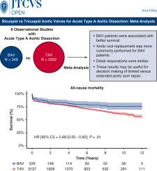 Treatment strategies and outcomes following acute type A aortic dissection repair in patients with bicuspid and tricuspid aortic valves: A meta-analysis