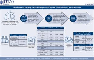 Timeliness of surgery for early-stage lung cancer: Patient factors and predictors