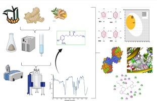 Isolation of 6-gingerol and semi-synthesis of 1,4-benzodiazepines derivatives: An in-situ pharmacokinetics properties, molecular docking and molecular dynamics simulation assessments