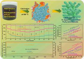 Polyaniline layered N-doped carbon-coated iron oxide nanocapsules for extremely active Li-ion battery anode and oxygen evolution reaction