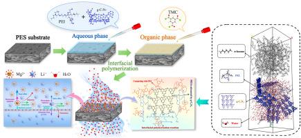 Structure and positive charge regulation in nanofiltration membrane by novel nanomaterial g-C3N5 for efficient Li+/Mg2+ separation