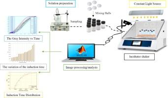 Rapid, low-cost exploration of nucleation rates in l-glutamic acid crystallization in pure media and the presence of polymers through novel parallel experimentation