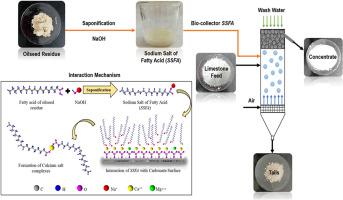 Flotation performance and kinetics study of low-grade limestone with fatty acids-rich oilseed residue as green collector