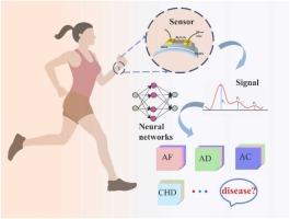 Intelligent cardiovascular disease diagnosis system combined piezoelectric nanogenerator based on 2D Bi2O2Se with deep learning technique