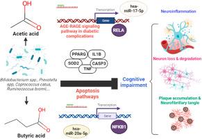 Effects of gut microbiota-derived short-chain fatty acids on cognitive impairment: An in-silico study