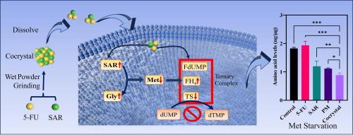 Selective pharmaceutical sensitization design based on amino acid metabolism: 5-fluorouracil-sarcosine cocrystal prepared by wet powder grinding method