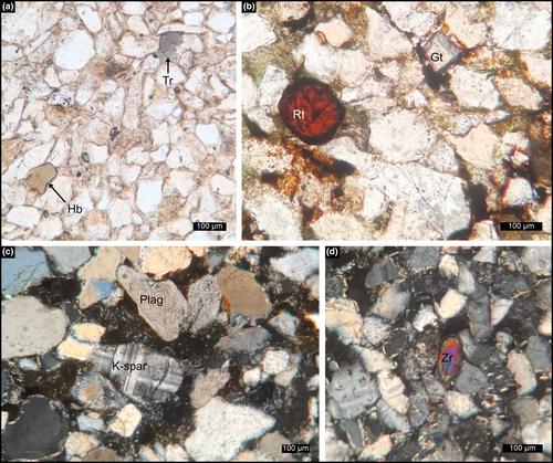 Sedimentation tempo in an Early Jurassic erg system: Refined chronostratigraphy and provenance of the Clarens Formation of southern Africa