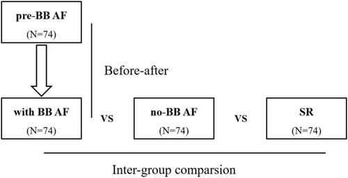 The heart rate response to the 6-min walk test in atrial fibrillation patients with or without beta-blockers: Referring to patients with sinus rhythm