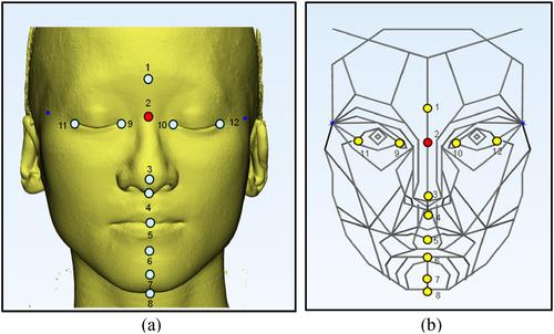 3D evaluation model of facial aesthetics based on multi-input 3D convolution neural networks for orthognathic surgery