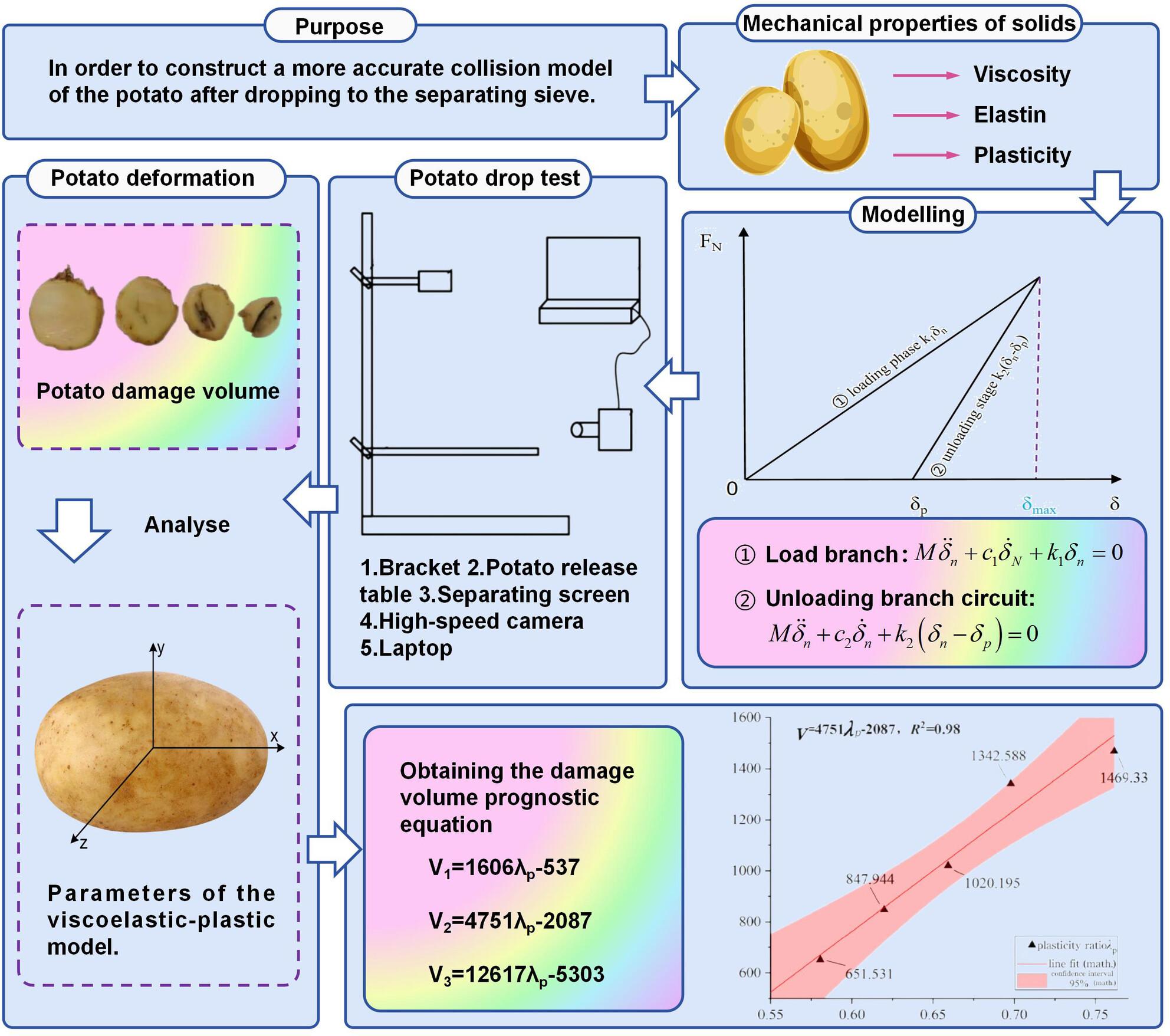 Construction and analysis of a mechanical model for viscoelasticity and plasticity in potato