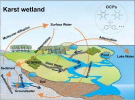 Organochlorine pesticides in water and sediment at a typical karst wetland in Southwest China