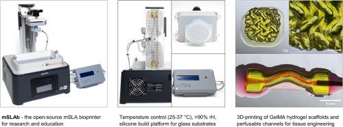 mSLAb – An open-source masked stereolithography (mSLA) bioprinter