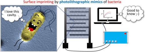 Template bacteria-free fabrication of surface imprinted polymer-based biosensor for E. coli detection using photolithographic mimics: Hacking bacterial adhesion