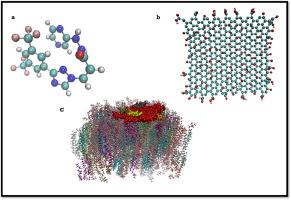 Engineered nanoparticles as Selinexor drug delivery systems across the cell membrane and related signaling pathways in cancer cells