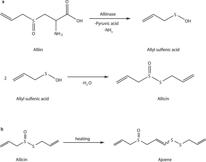 Efficient removal of allicin from the stalk of Allium fistulosum for dietary fiber production