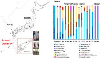 Differences in the microbiome composition of the traditional fermented rice beverage Miki from Amami Island