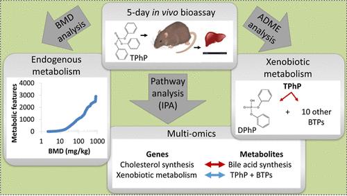 Metabolomics Simultaneously Derives Benchmark Dose Estimates and Discovers Metabolic Biotransformations in a Rat Bioassay