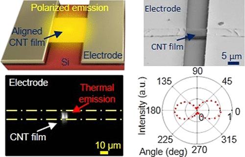 Efficient Emission of Highly Polarized Thermal Radiation from a Suspended Aligned Carbon Nanotube Film