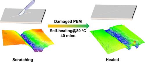 Hydrogen Bond and Dipole–Dipole Interaction Enabling Ultrastable, Quick Responding, and Self-Healing Proton Exchange Membranes for Fuel Cells