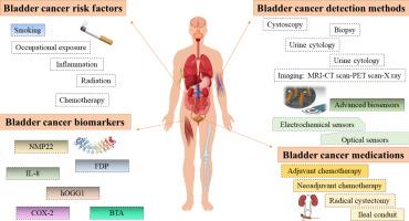 Advanced bladder cancer detection: Innovations in biomarkers and nanobiosensors