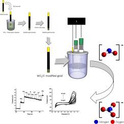 A Novel ultrasensitive nitrite ion detection using tungsten trioxide-modified gold electrode