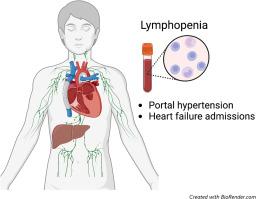 Lymphopenia in the Adult Population With Fontan Physiology: A Potential New Marker for Disease Assessment