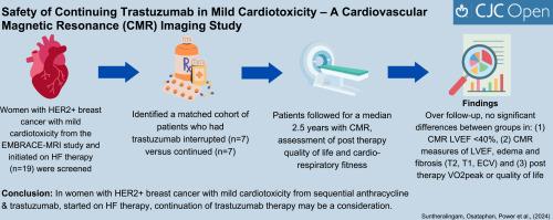 Safety of Continuing Trastuzumab for Mild Cardiotoxicity: A Cardiovascular Magnetic Resonance Imaging Study