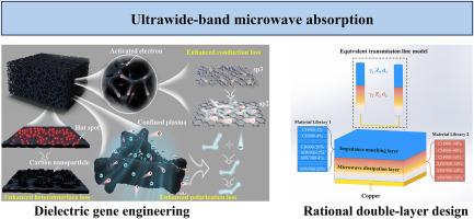 Dielectric gene engineering on biochar for ultrawide-band microwave absorption with a rational double-layer design