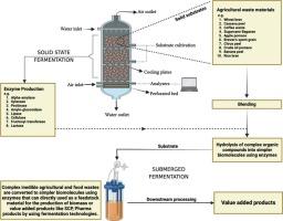 Microbial enzyme production: Unlocking the potential of agricultural and food waste through solid-state fermentation